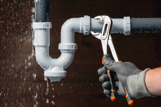 Professional Leak Detection technician working in Leaf River, IL